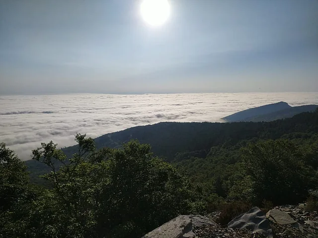 Mar de nubes visto desde las laderas verdes del Moncayo