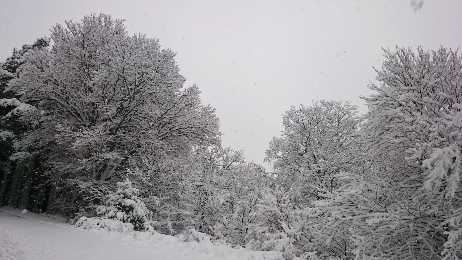 Santuario Nevado