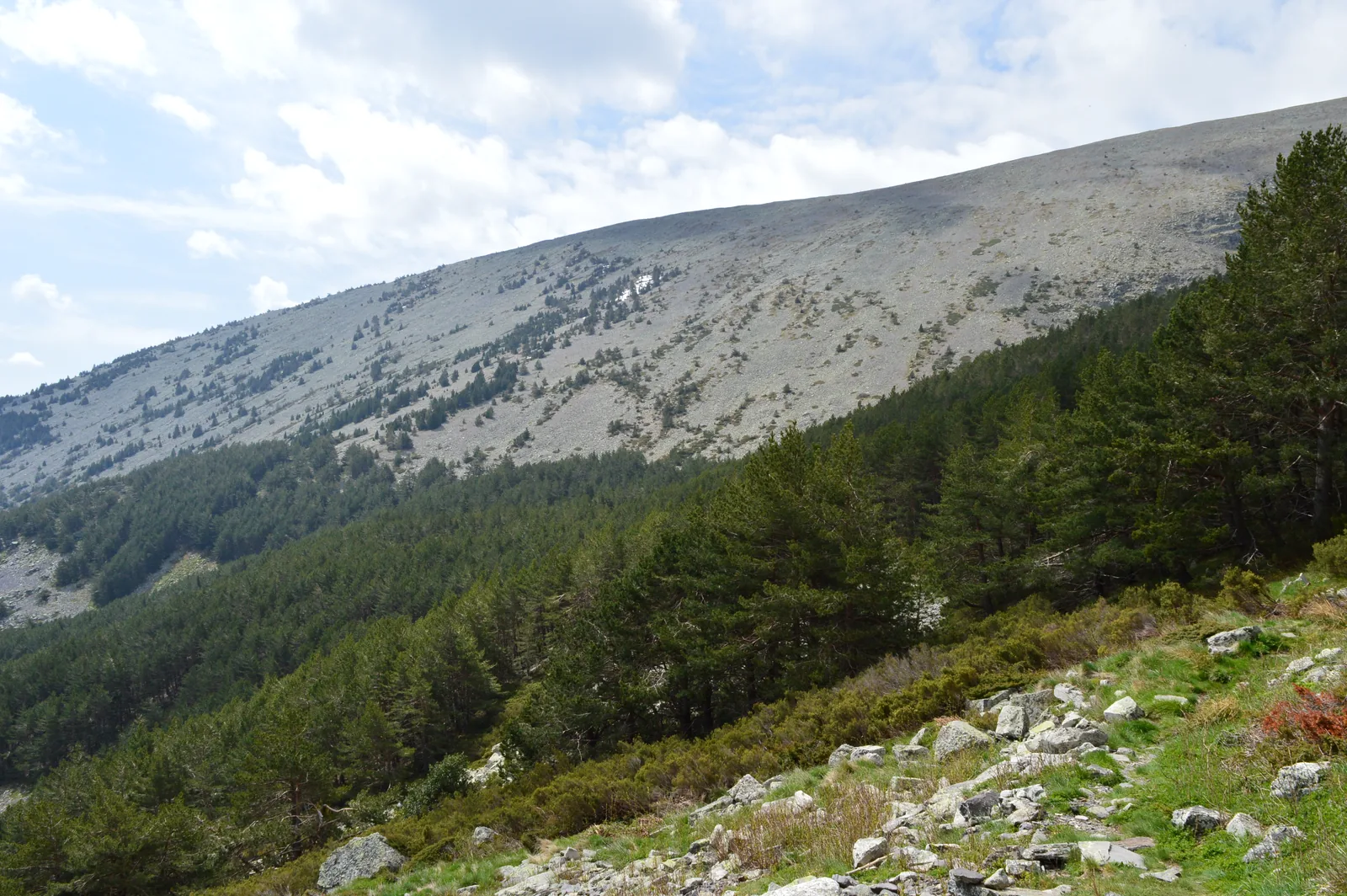 Laderas del Moncayo